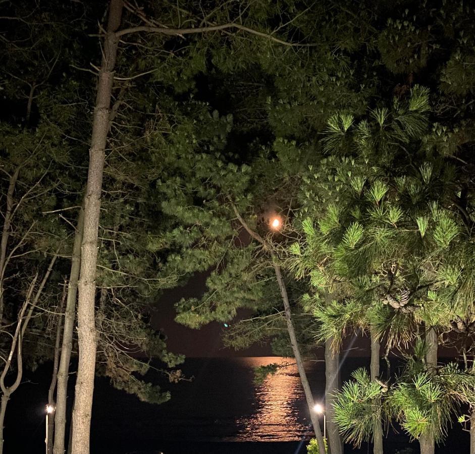 Sanny Villa グリゴレティ エクステリア 写真